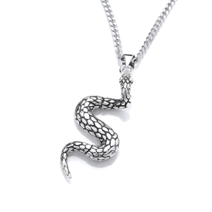 Sterling Silver Detailed Snake Pendant & Chain