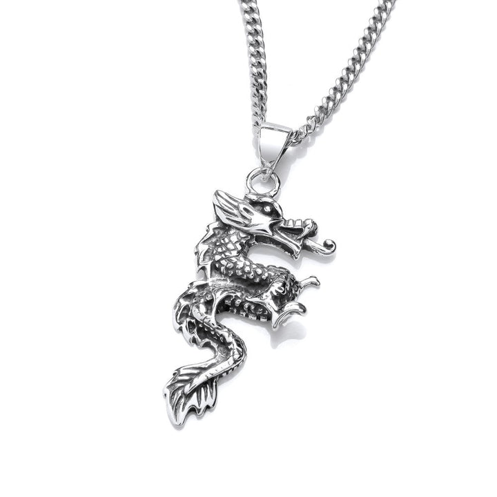 Sterling Silver Dragon Pendant & Chain