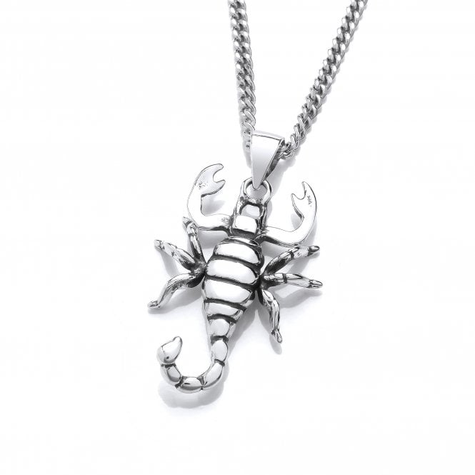 Sterling Silver Scorpion Pendant & Chain
