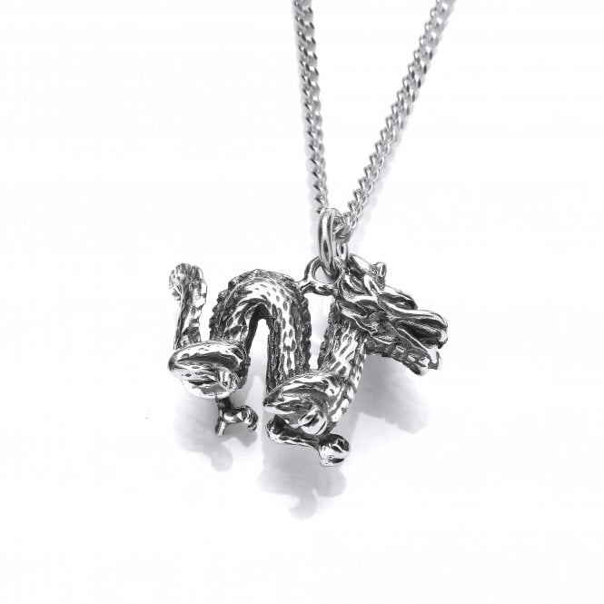 Sterling Silver Wave Dragon Pendant & Chain