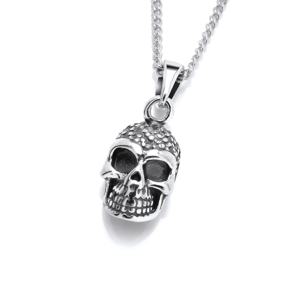 Sterling Silver Skull Pendant & Chain